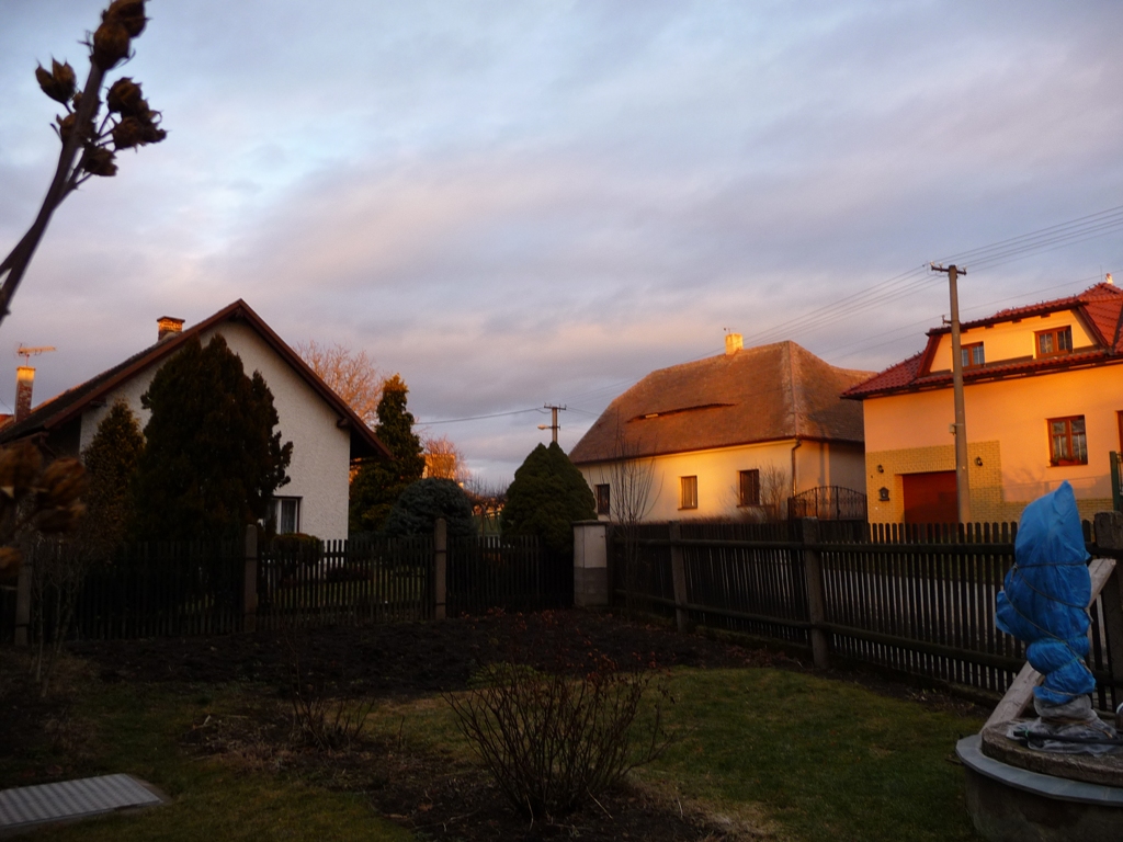 Třibřichy